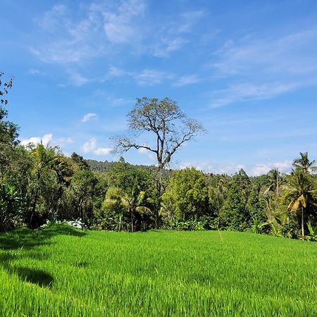 Апартаменти Umah Yugadi Bali Мундук Екстер'єр фото