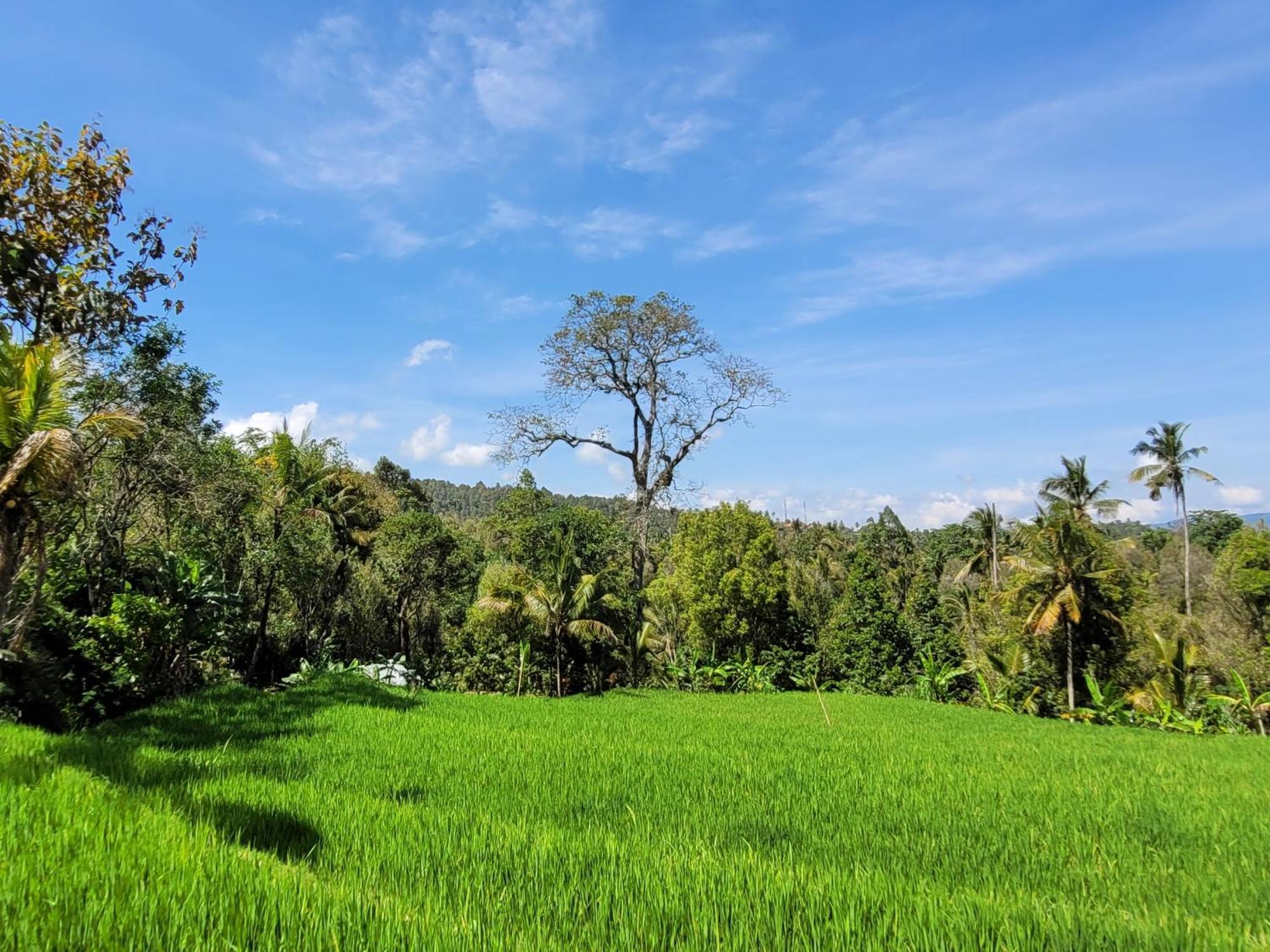 Апартаменти Umah Yugadi Bali Мундук Екстер'єр фото
